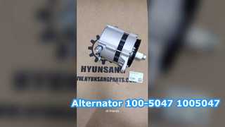 Lichtmaschine 100-5047 1005047