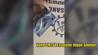 Ventil 719754