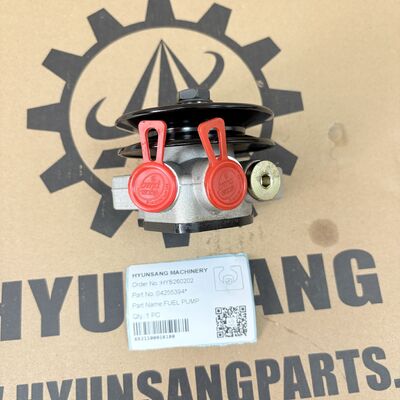 Hyunsang Excavator Parts Fuel Pump 04255394 For BFM1012 BF4M1013 BF6M1013